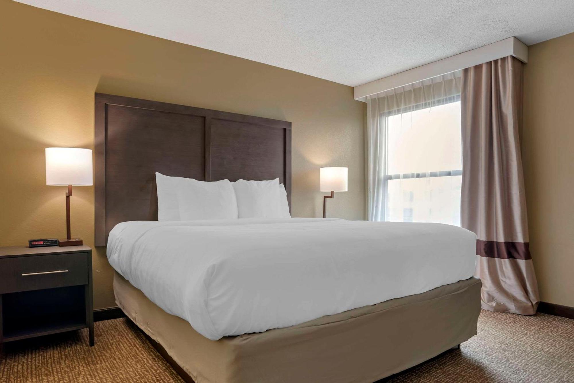 Comfort Inn Opelika - Auburn Dış mekan fotoğraf